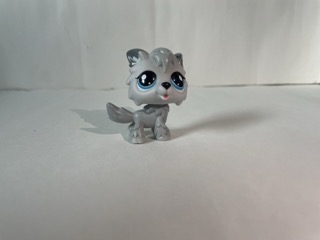 an image of another complex object not included in activity one